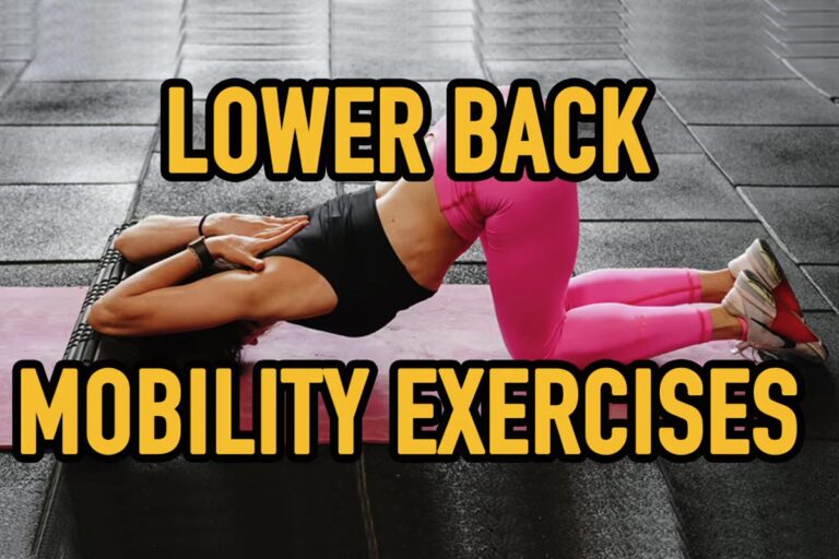 Best Lower Back Mobility Exercises 2024