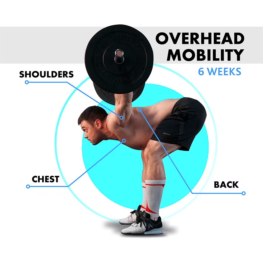 Overhead Mobility Program