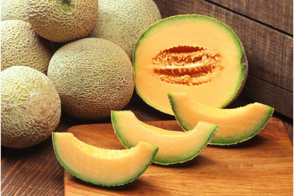 Cantaloupe