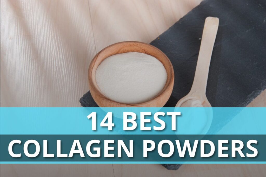 Best Collagen Powders