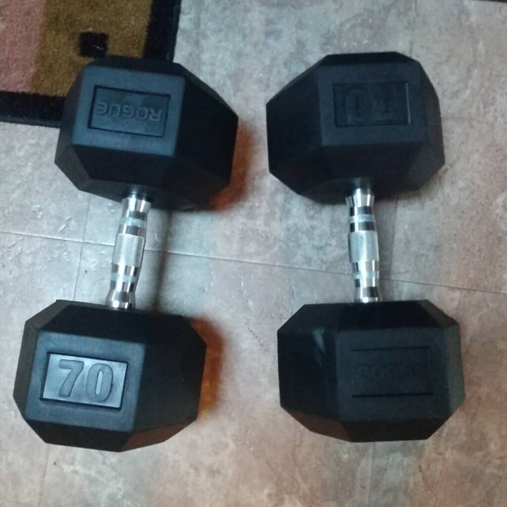 rogue dumbbells set