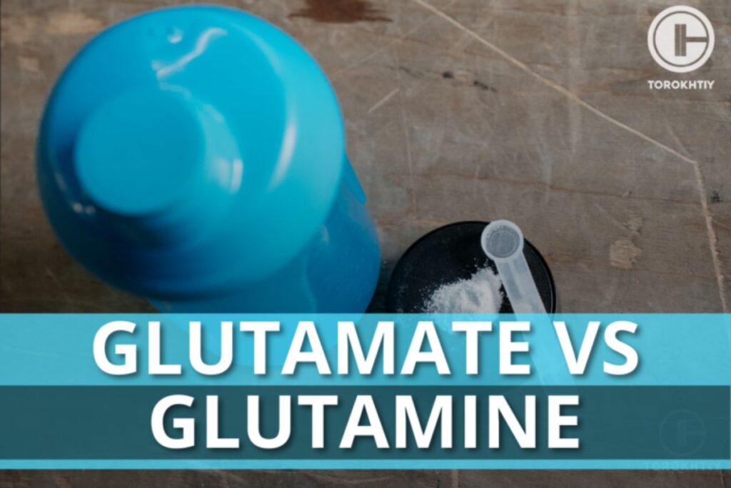 Glutamate Vs Glutamine