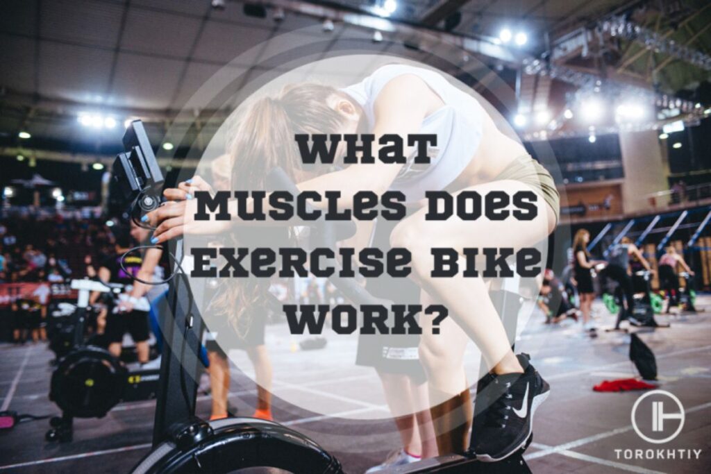 What Muscles Does Exercise Bike Work?