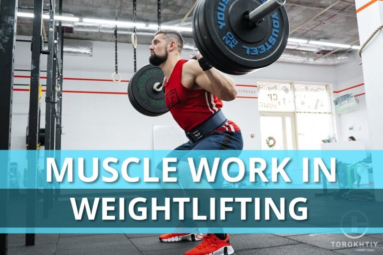 Muscle Work In Weightlifting