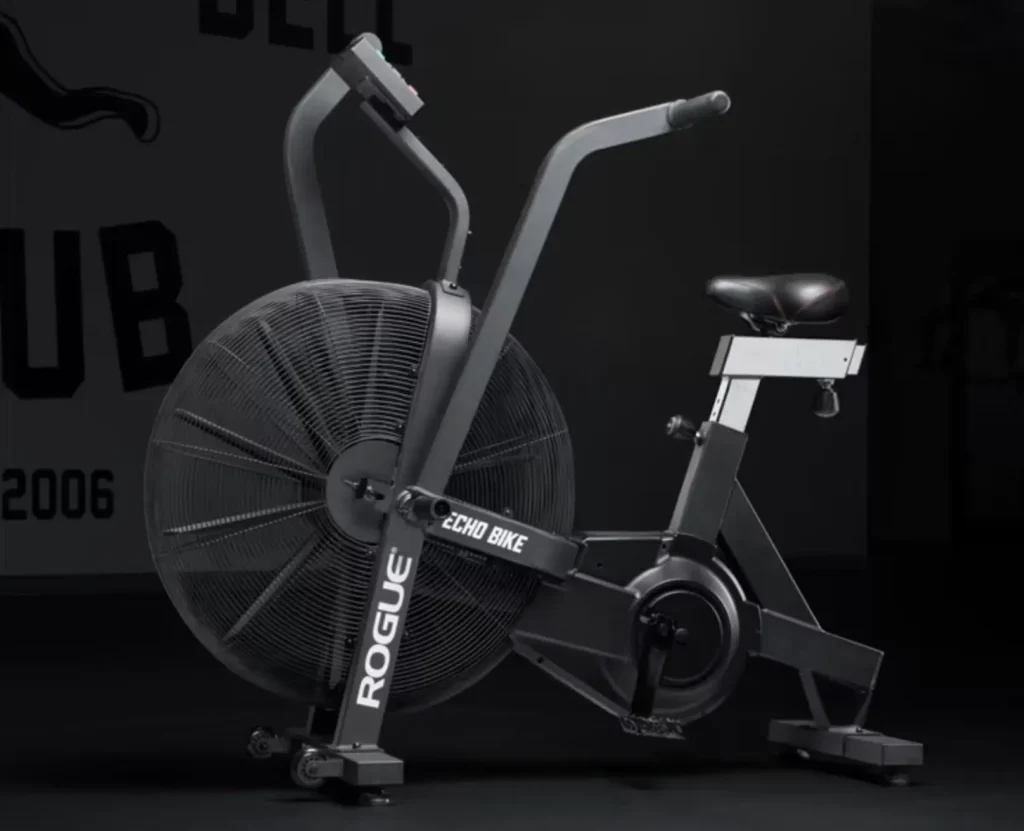 rogue echo bike