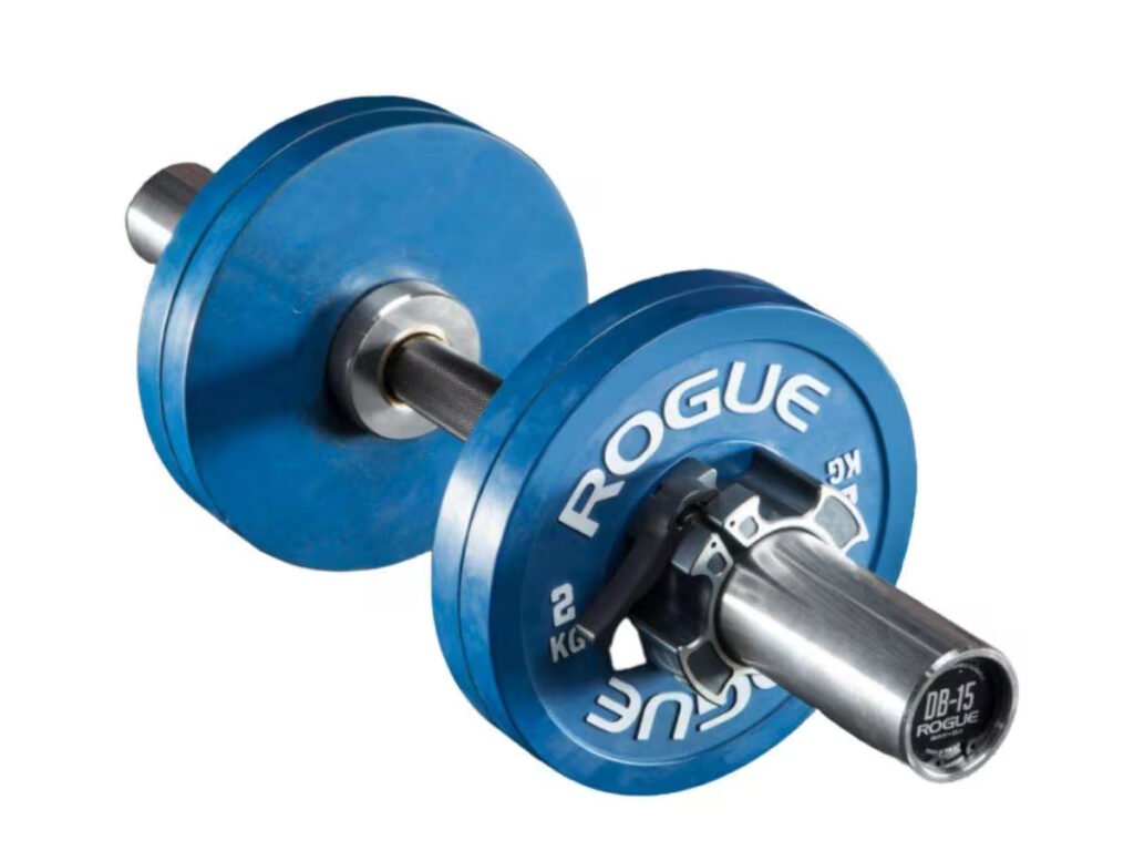 rogue loadable dumbbells