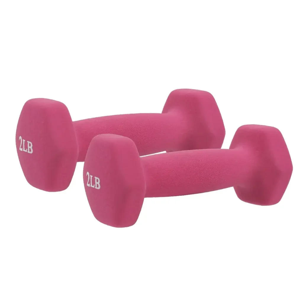 sunny health fitness dumbbells