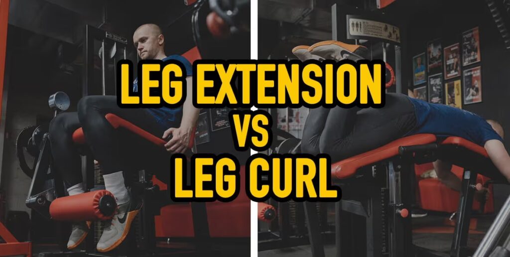 leg extension vs leg curl