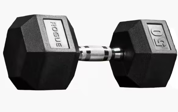 rogue dumbbells