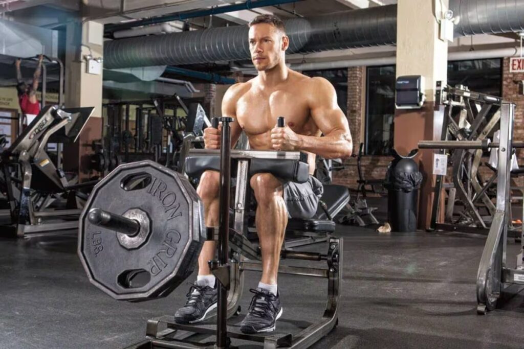 seated calf raise