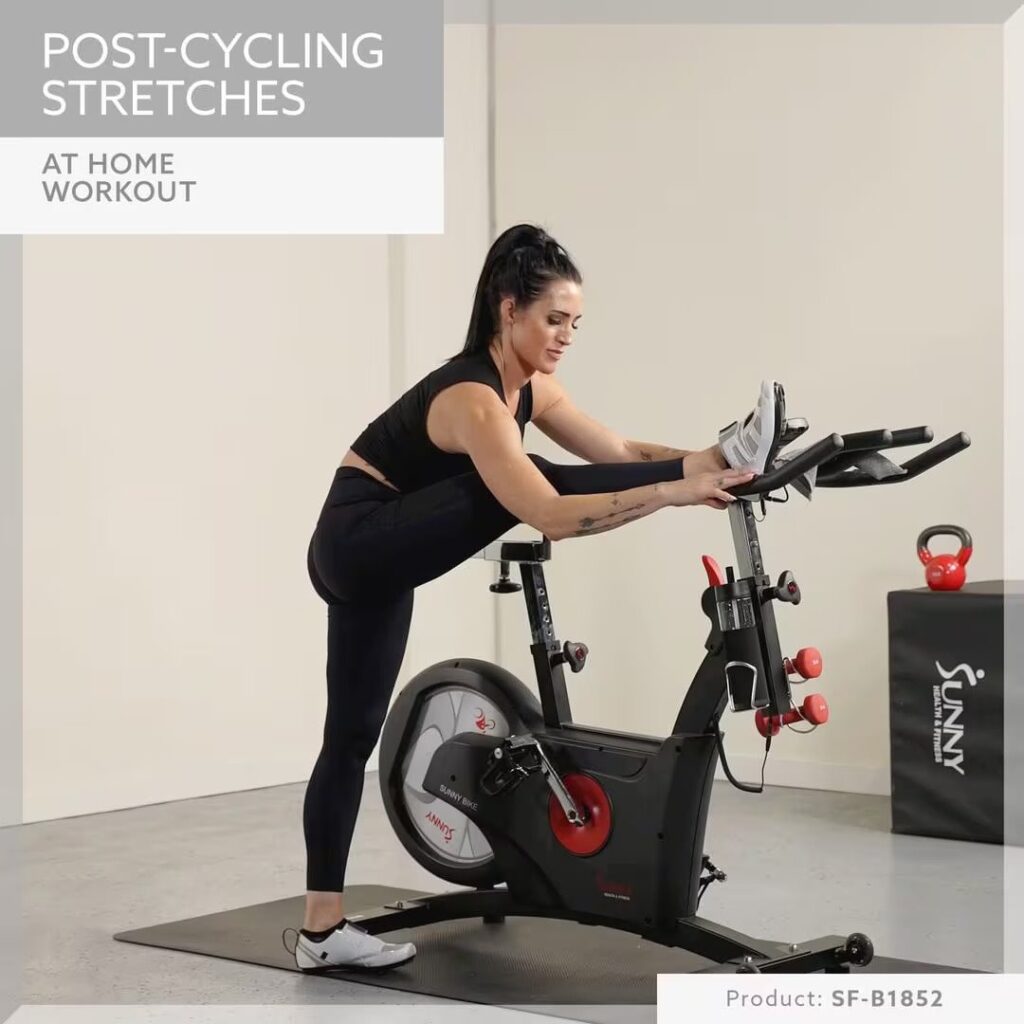 Sunny Health & Fitness Kinetic Rear Drive Bike Insta