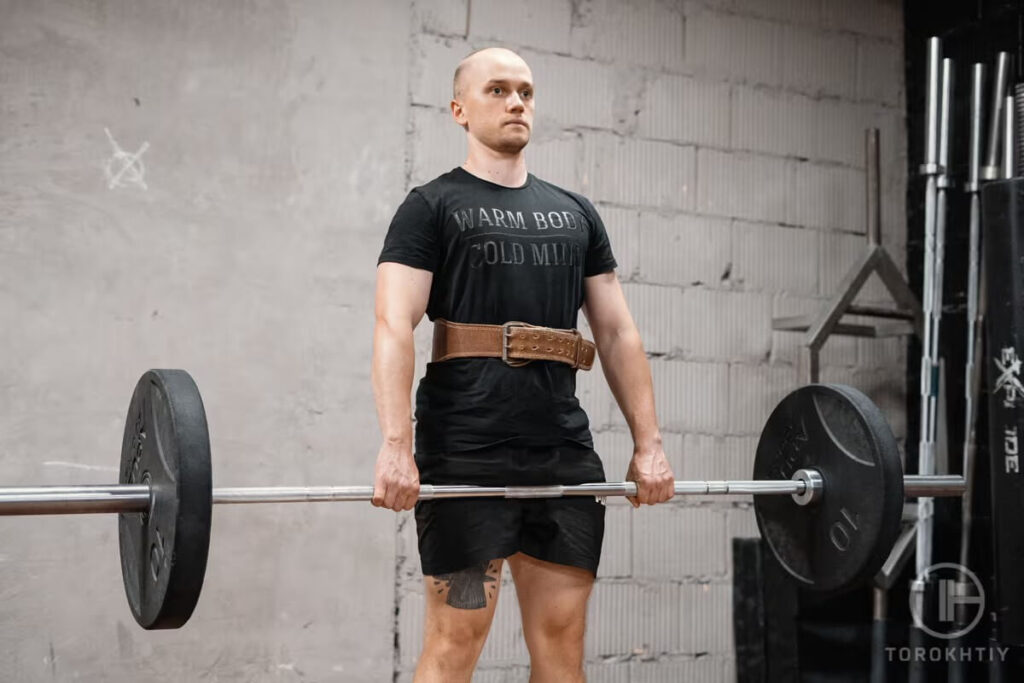 barbell in the gym