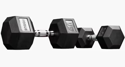 Rogue Dumbbells