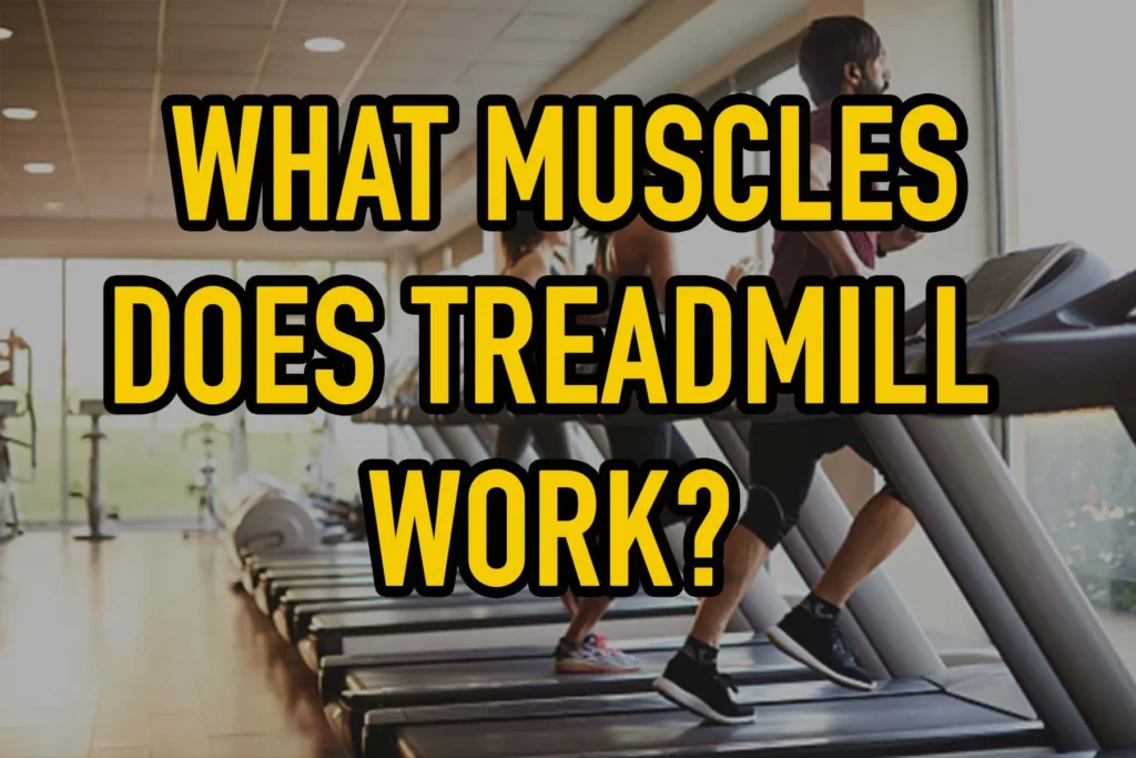 What Muscles Does Treadmill Work?