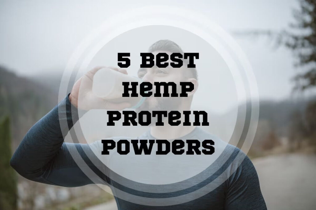 Best Hemp Protein Powders