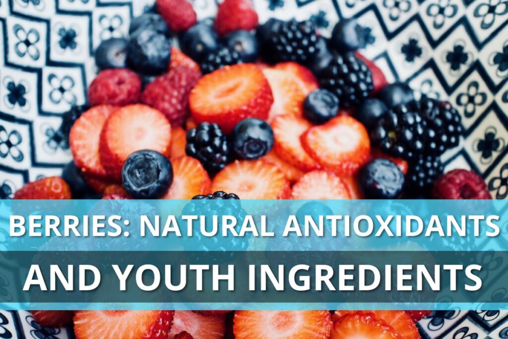 Berries: Natural Antioxidants And Youth Ingredients
