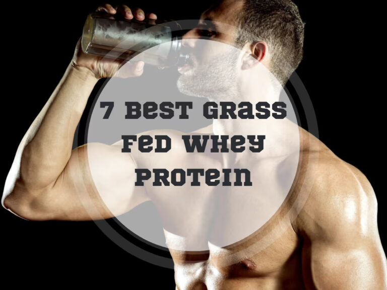 7 Best Grass Fed Whey Protein in 2024
