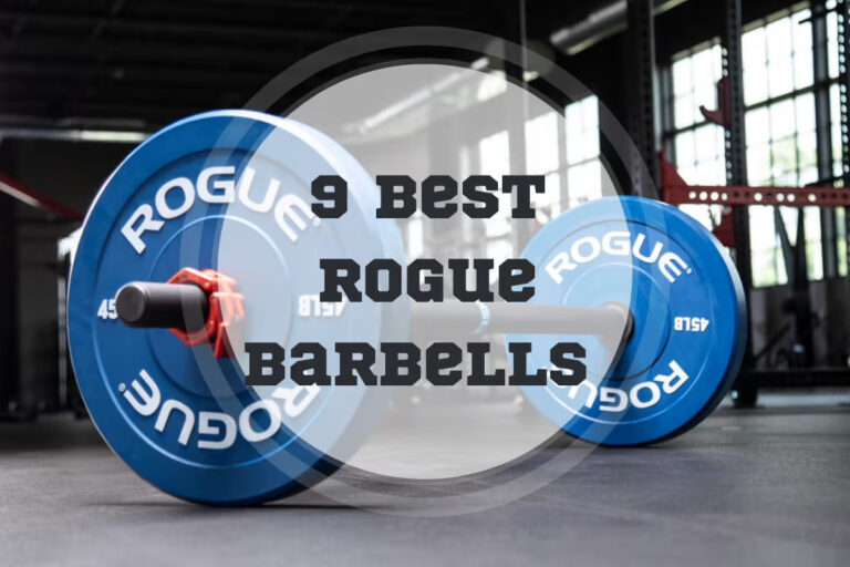 9 Best Rogue Barbells in 2024