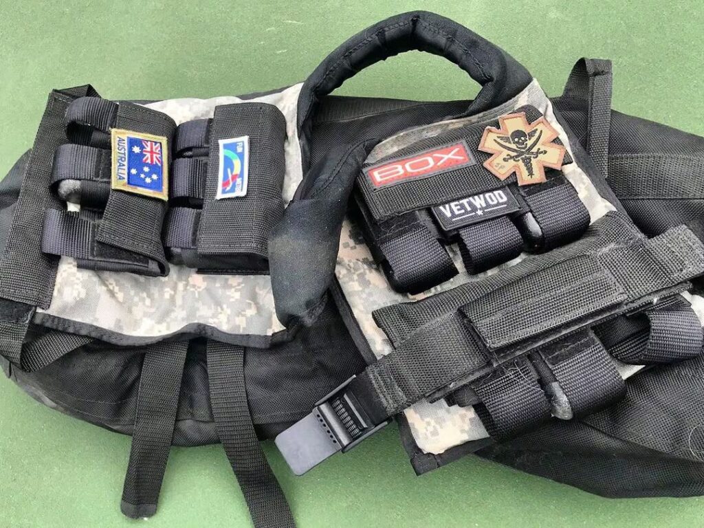 Box Weighted Vest instagram