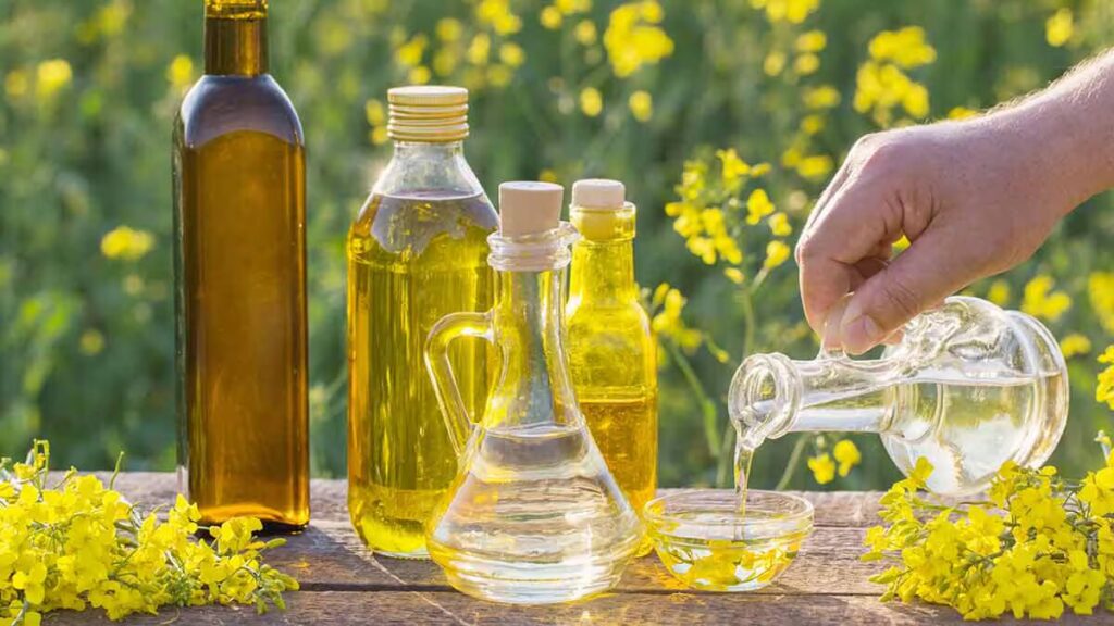 canola oil in bottles