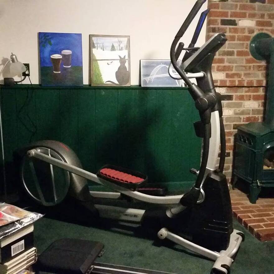 ProForm 495 Cse Smart Strider Elliptical Instagram