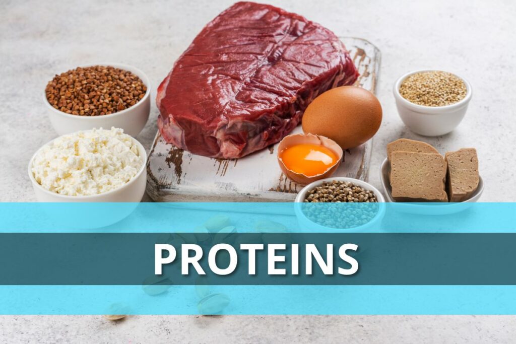 Proteins