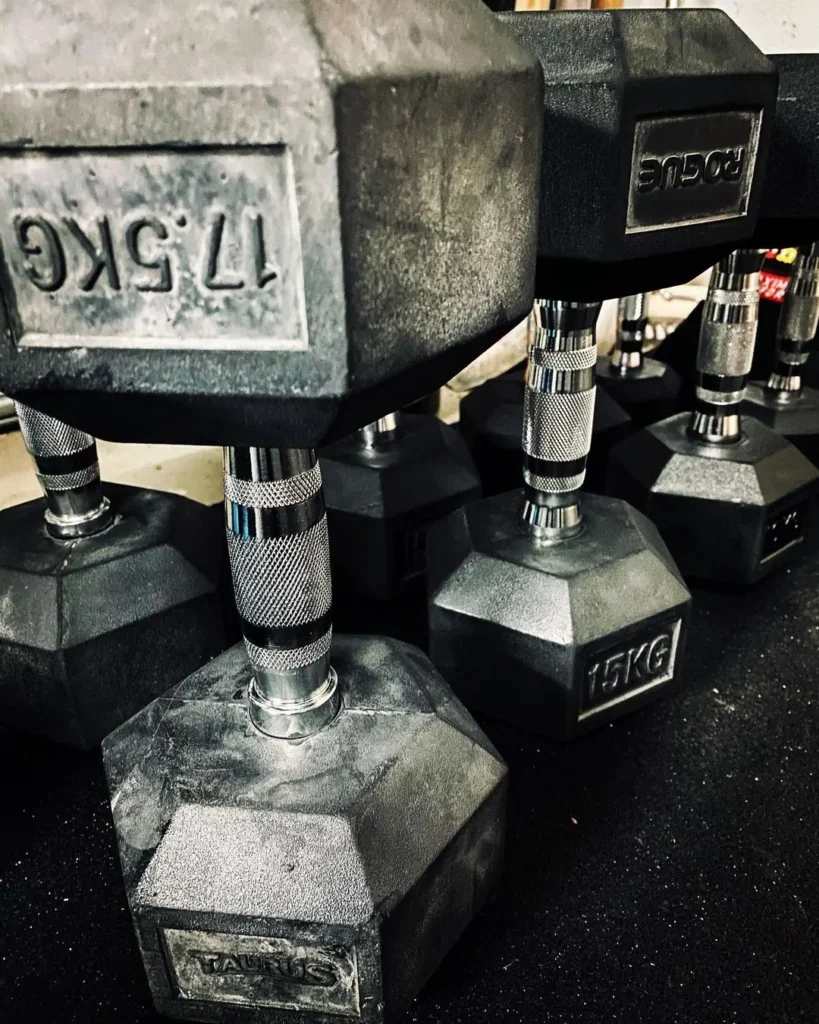 rogue fitness dumbbells instagram