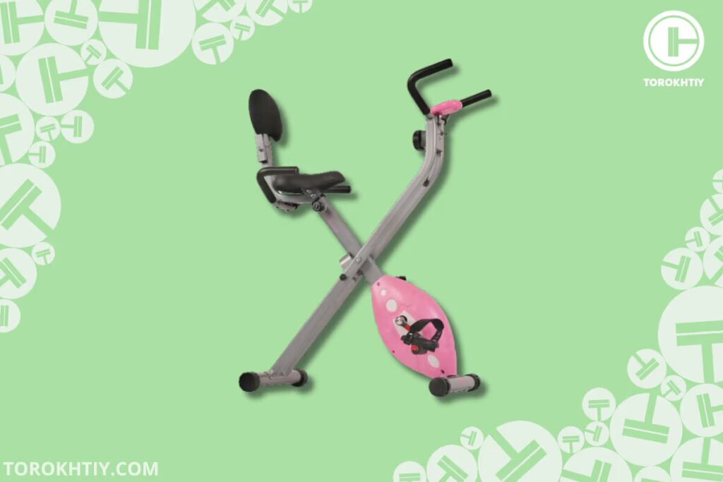 sunny magnetic recumbent bike sample