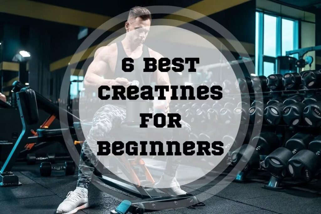 Best Creatine Supplements For Beginners