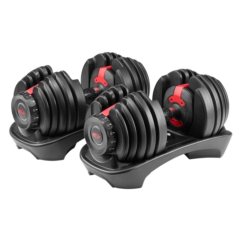 bowflex selec 552i dumbell sample