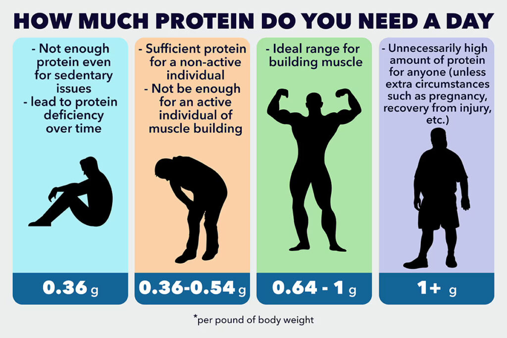 how much trotein take a day