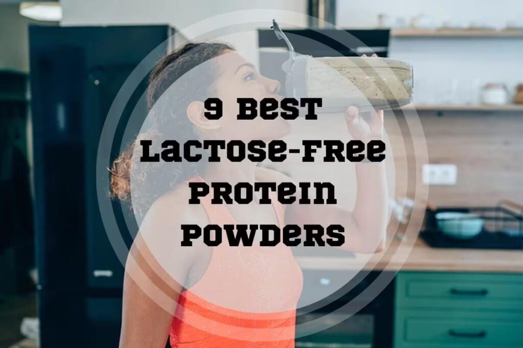 Best Lactose-Free Protein Powders