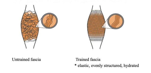 muscle tone is reduced