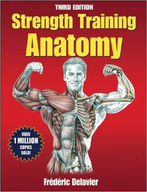 strength training anatomy